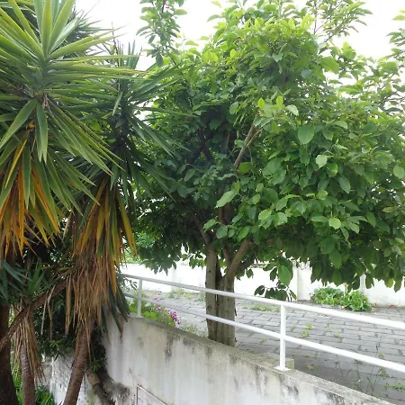 Sol Nascente קוימברה