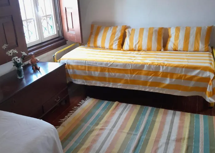 Sol Nascente Κοΐμπρα