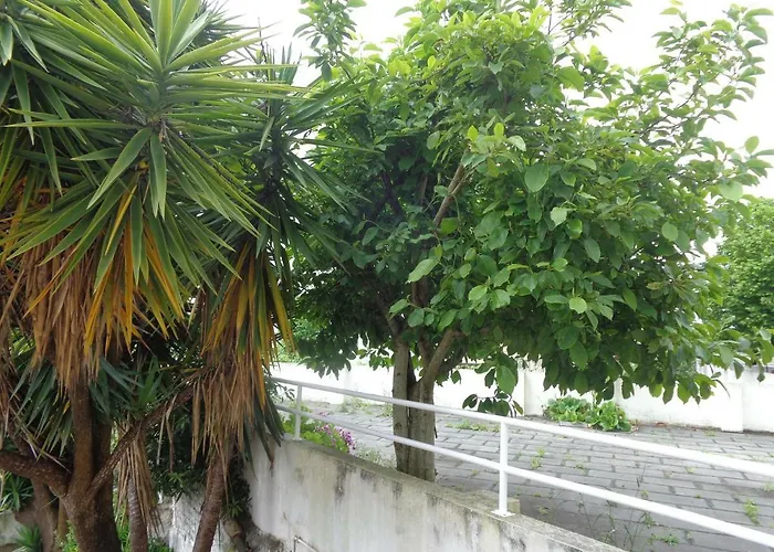 Sol Nascente كويمبرا